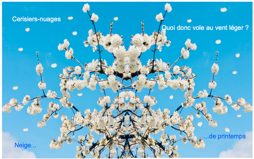 cerisiers-nuages