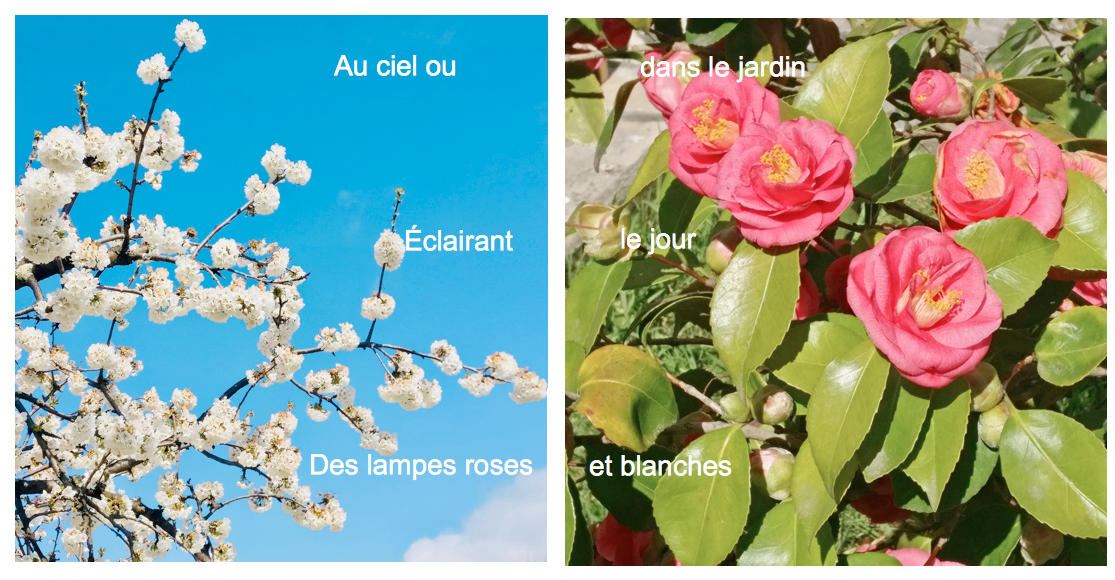 lampesfleurs